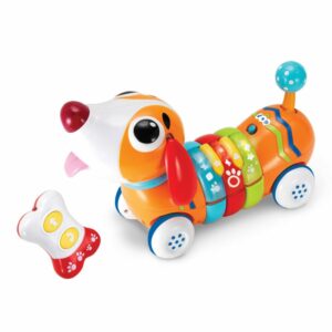 R/C - Rainbow Pup Musical - Winfin
