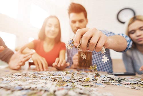 Puzzle Le Grand Canal à Venise - Trefl 1000 pcs – Image 4