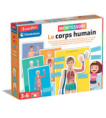 Un jeu éducatif pour apprendre de nouvelles choses sur le corps humain développé selon les principes de la méthode Montessori. Un jeu pour découvrir l'intérieur et l'extérieur du corps humain. https://st0.etoilejouet.ma/wp-content/uploads/2024/08/le-corps-humain-montessori-etoile-jouet.jpg